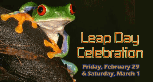 Leap day Celebration