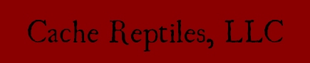 Cache Reptiles