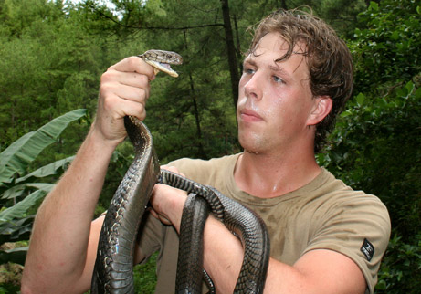 Biologist Freek Vonk goes eye to eye with the longest venomous snake species in the world�a female king cobra�in the Indonesian rainforest.