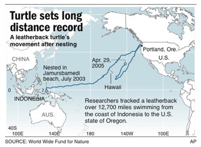 Swim Route