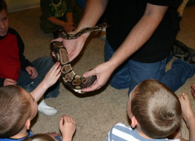 Python!